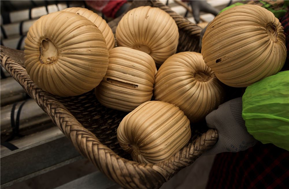 小哥农闲2个月赚1万8直播卖糖瓜，腊月二十三糖瓜粘，小时候味道