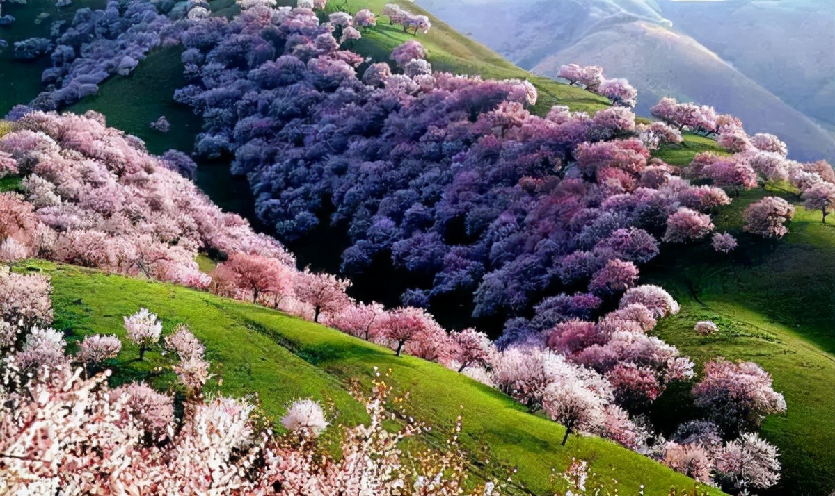 国内十大免费旅行圣地 (10个国内性价比最高的小众旅行地)