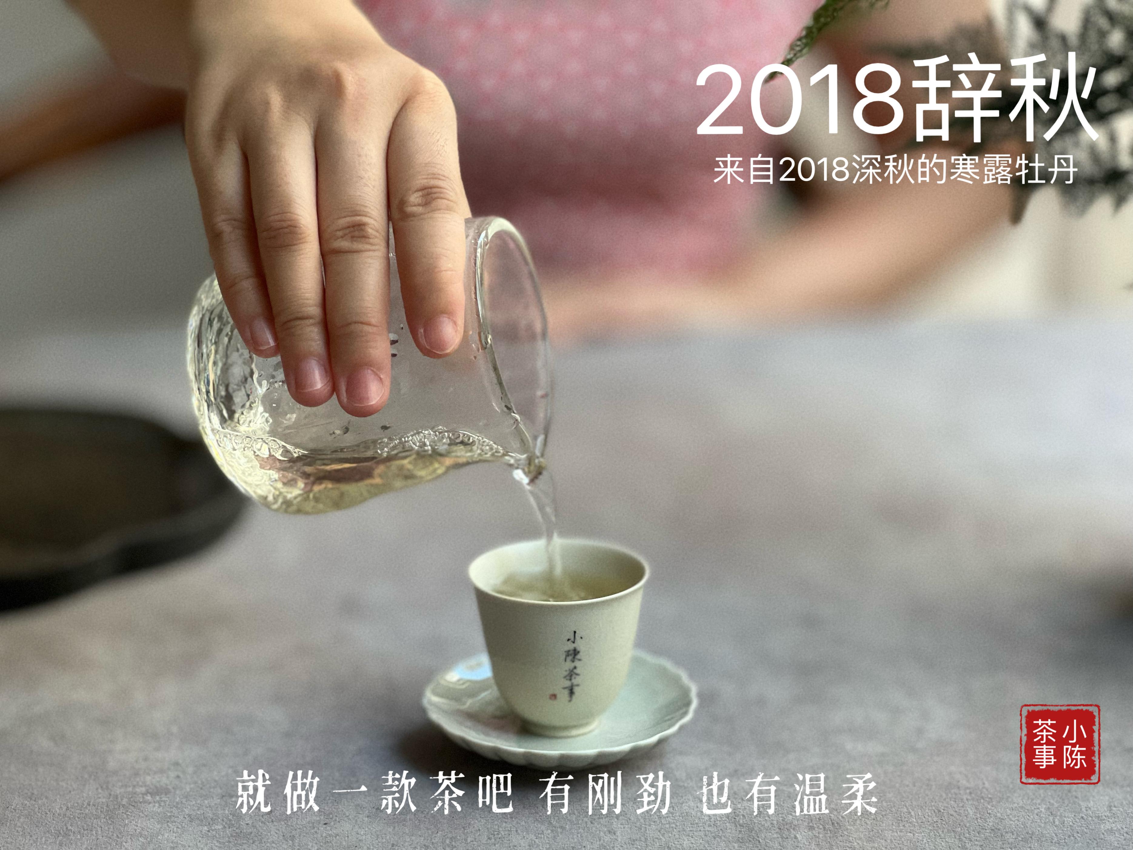 家庭存茶要避灯光吗,家庭存茶的忌讳