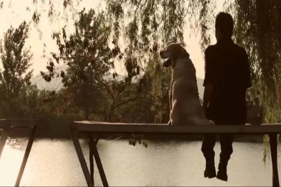 江苏省唯一一名警犬工作岗位硕士研究生与他爱犬“小虎”的故事