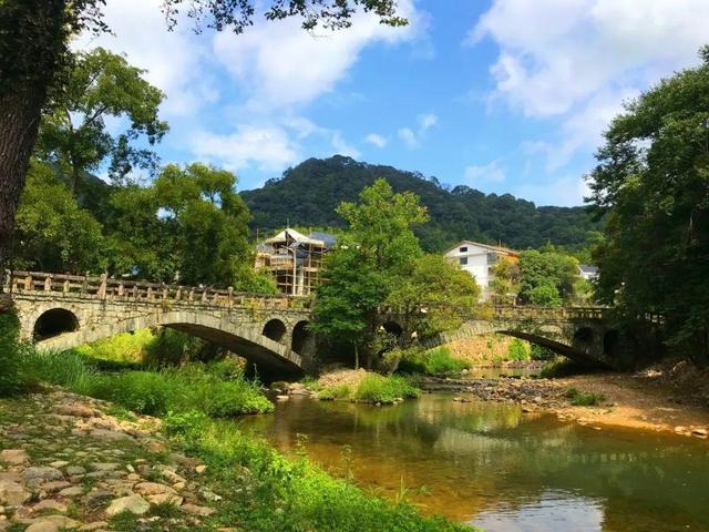 河南老农自学青铜器手艺,带全村“造假”,20年产值1.6亿,政府鼓励