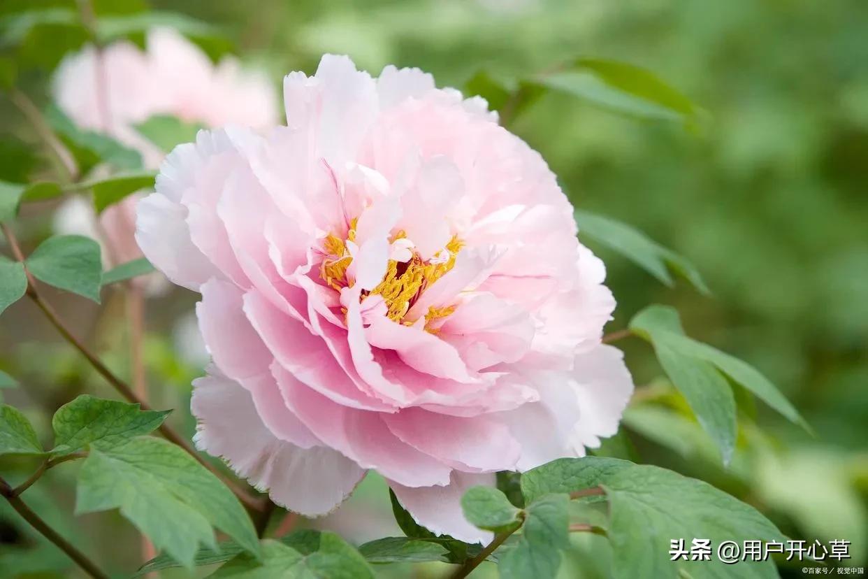 涂磊曾经说离婚原因,涂磊说有多少人说三观不合就分手