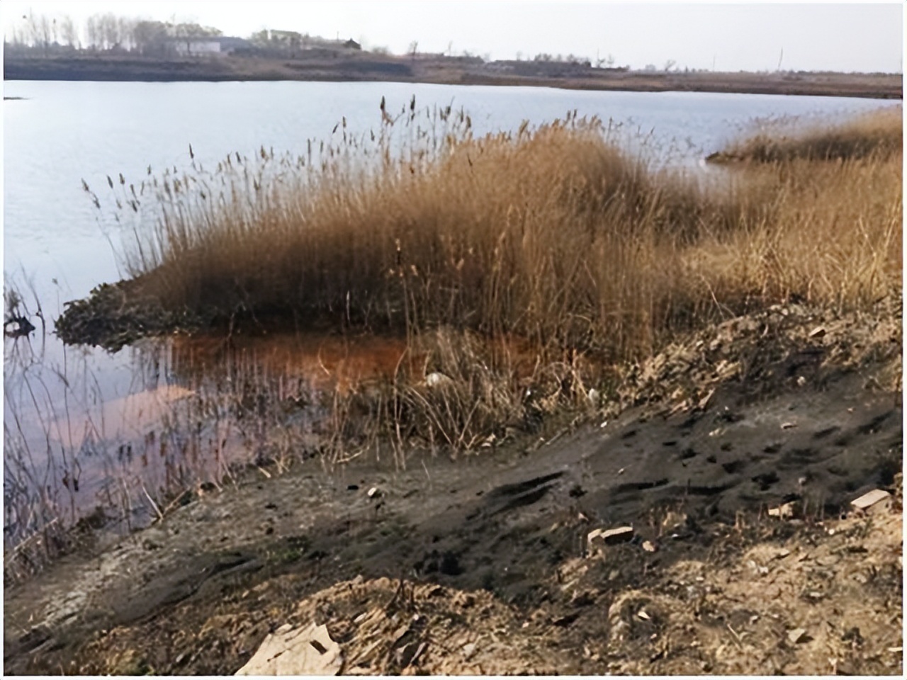 河北再次发现污水坑,河北渗坑事件