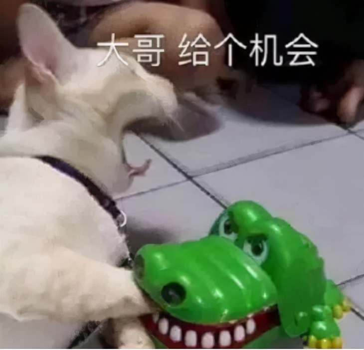 瘦弱怎么调理才能长胖,很瘦弱如何变强壮