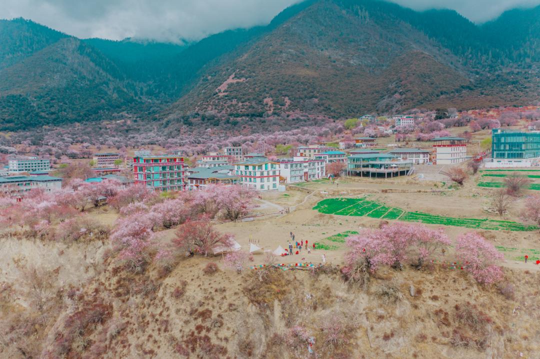 龙泉山看桃花徒步最佳路线,徒步穿越十里桃花漫山遍野