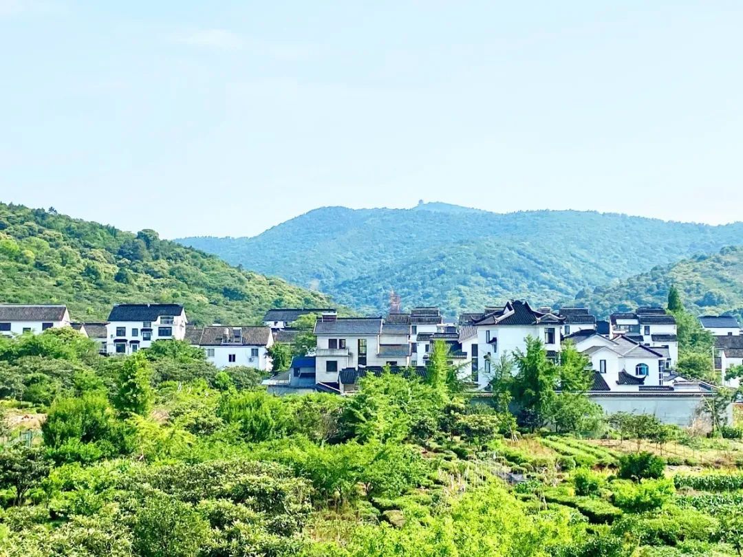 苏州最有特色民宿推荐,苏州特色民宿推荐