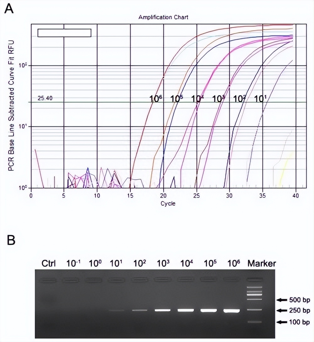 如何使用EOSM290机器，在不同加工条件中，制造出极端形状的薄壁