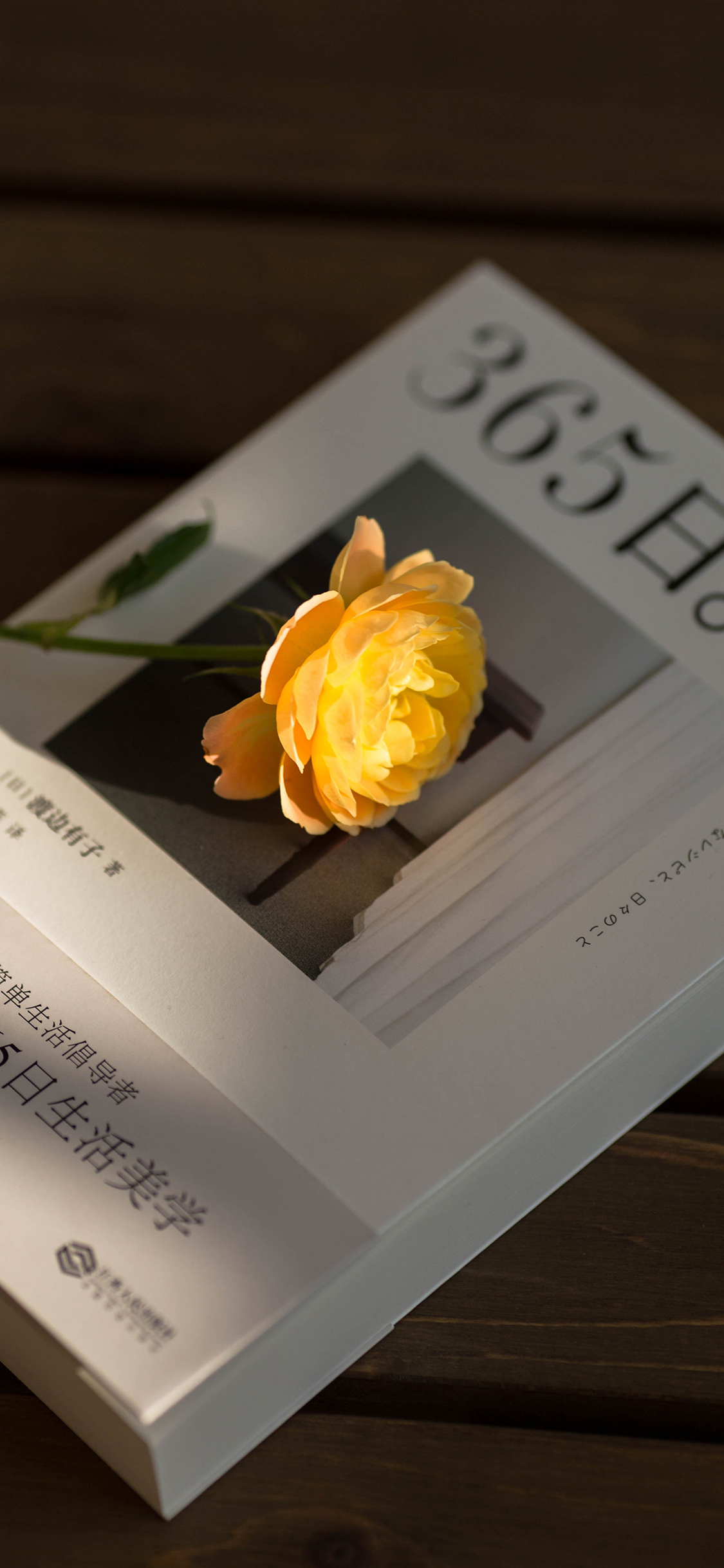 2023年手机壁纸,2023年最新款超清手机壁纸