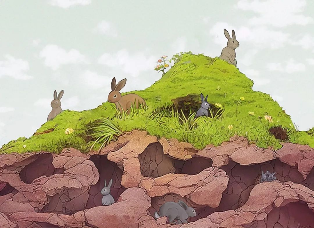 兔子没有实力就被人瞧不起,兔子从来没被战胜过