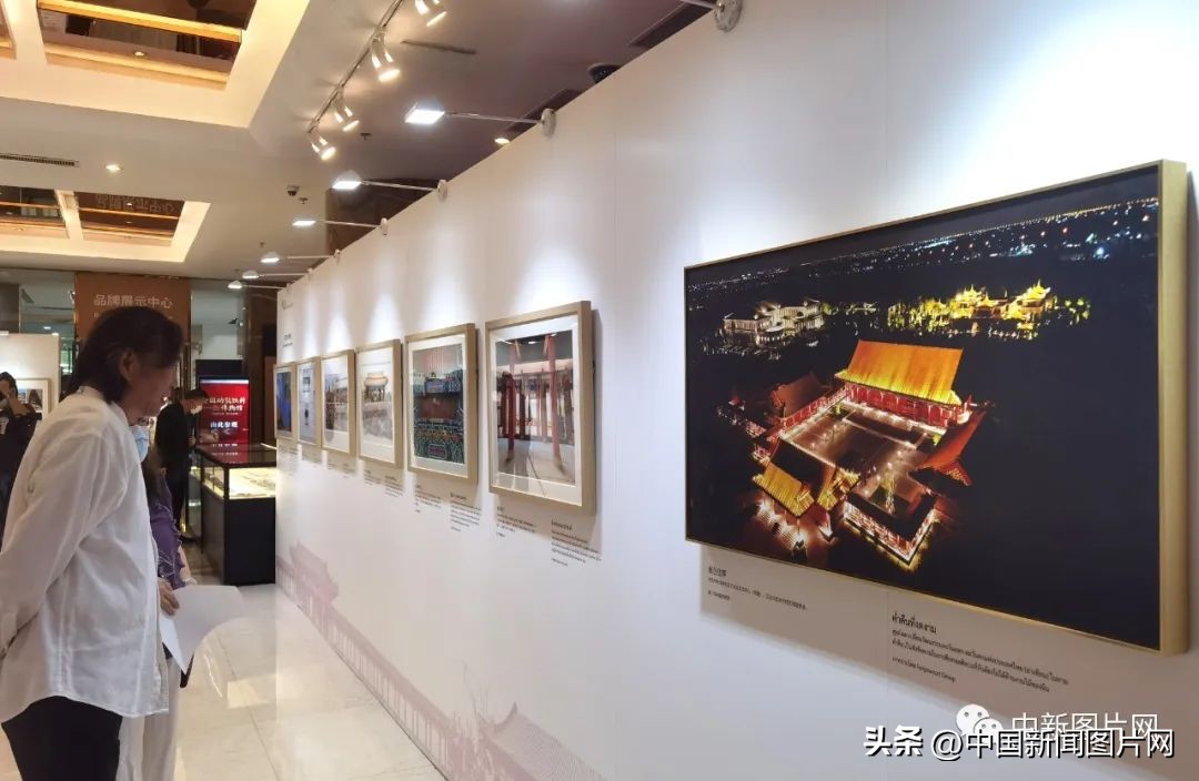 颐和园仁寿殿景色视频,颐和园仁寿殿解密视频