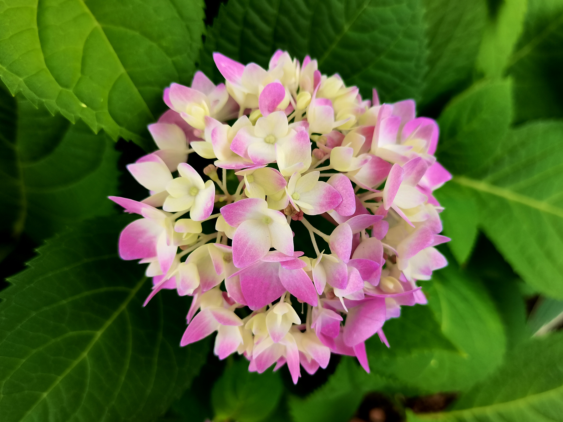 是仪：心中有民（八）