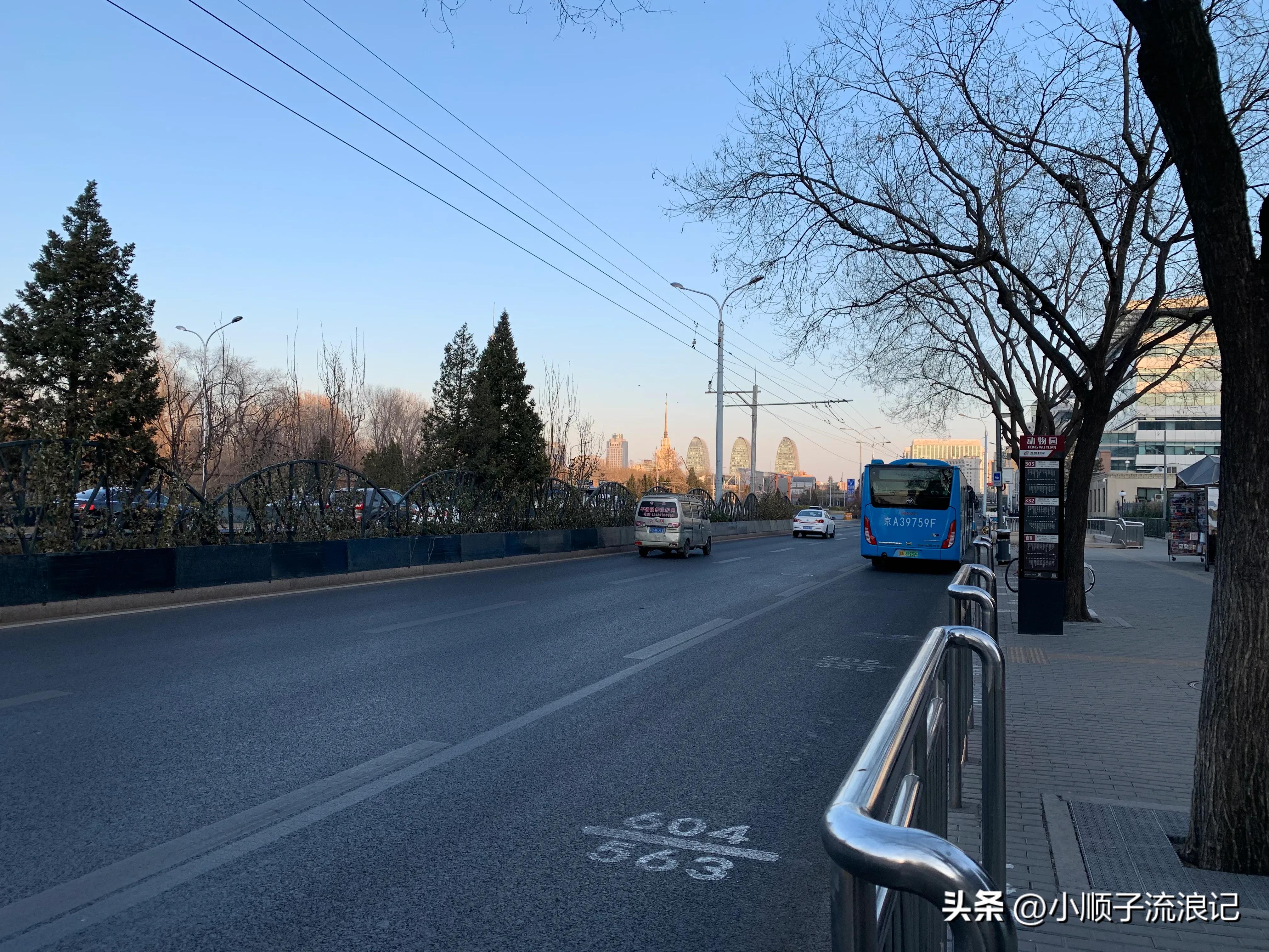 批发市场的动物园在哪里,十年前北京动物园服装批发市场