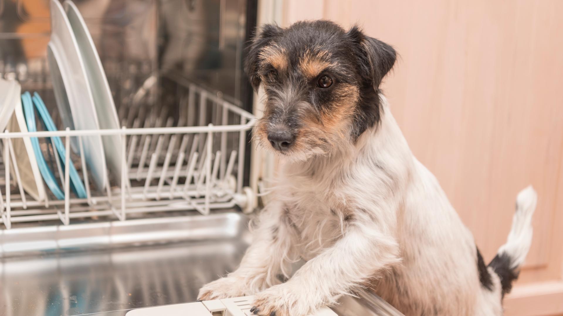 6种家电要么买好的，要么干脆别买，低价款基本都是“智商税”