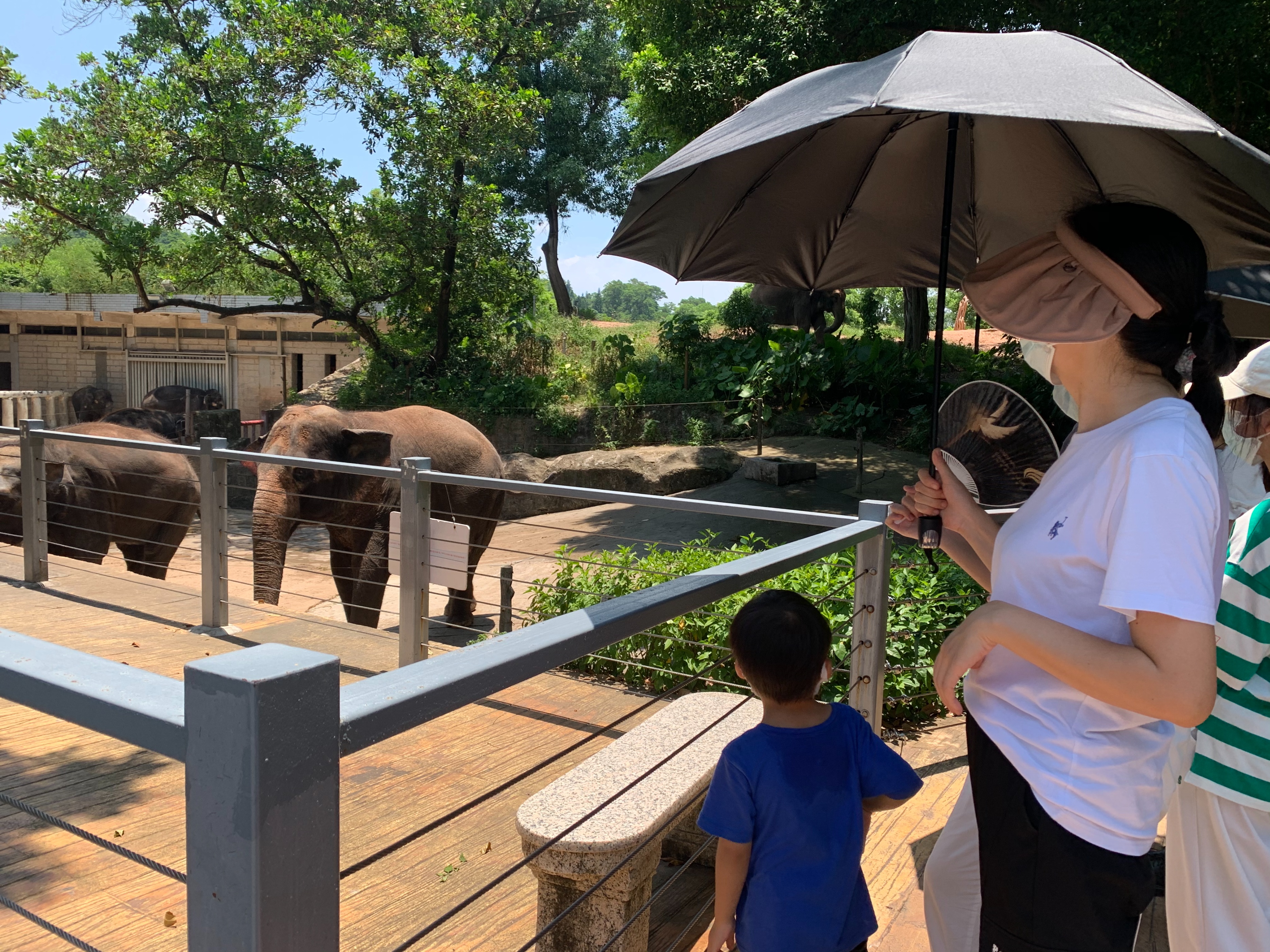 动物园游记450字,动物园游记三年级作文300字