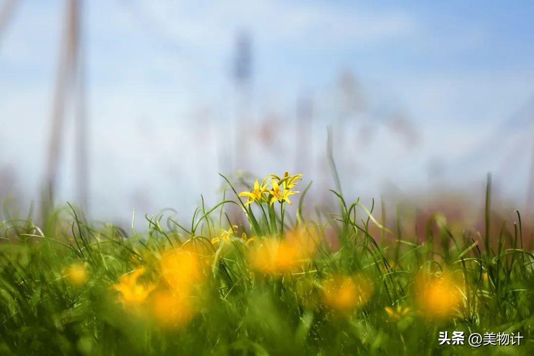 谷雨拥抱最后的一抹春色,谷雨阅尽春色万象更新