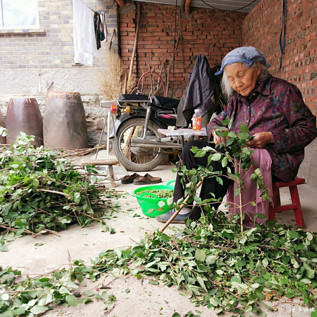 糖尿病最佳降糖首选,中医营养干预糖尿病