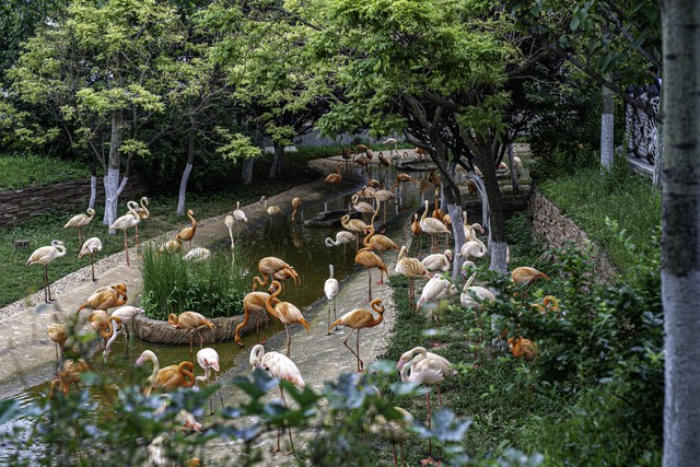 大连海滨公园足球场,大连钻石湾世界滨海公园足球场