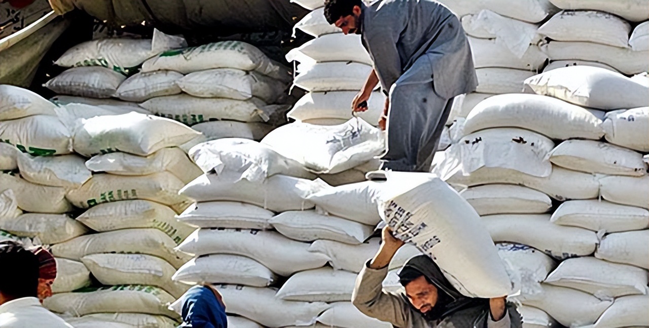 中国经济大发展，从巴西装1亿2000万斤白糖回国，印度要羡慕了