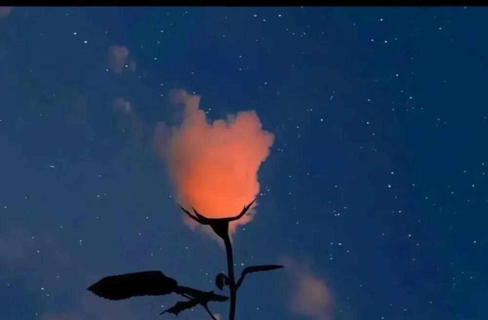 高雅精致的文案句子,精致的说说语句