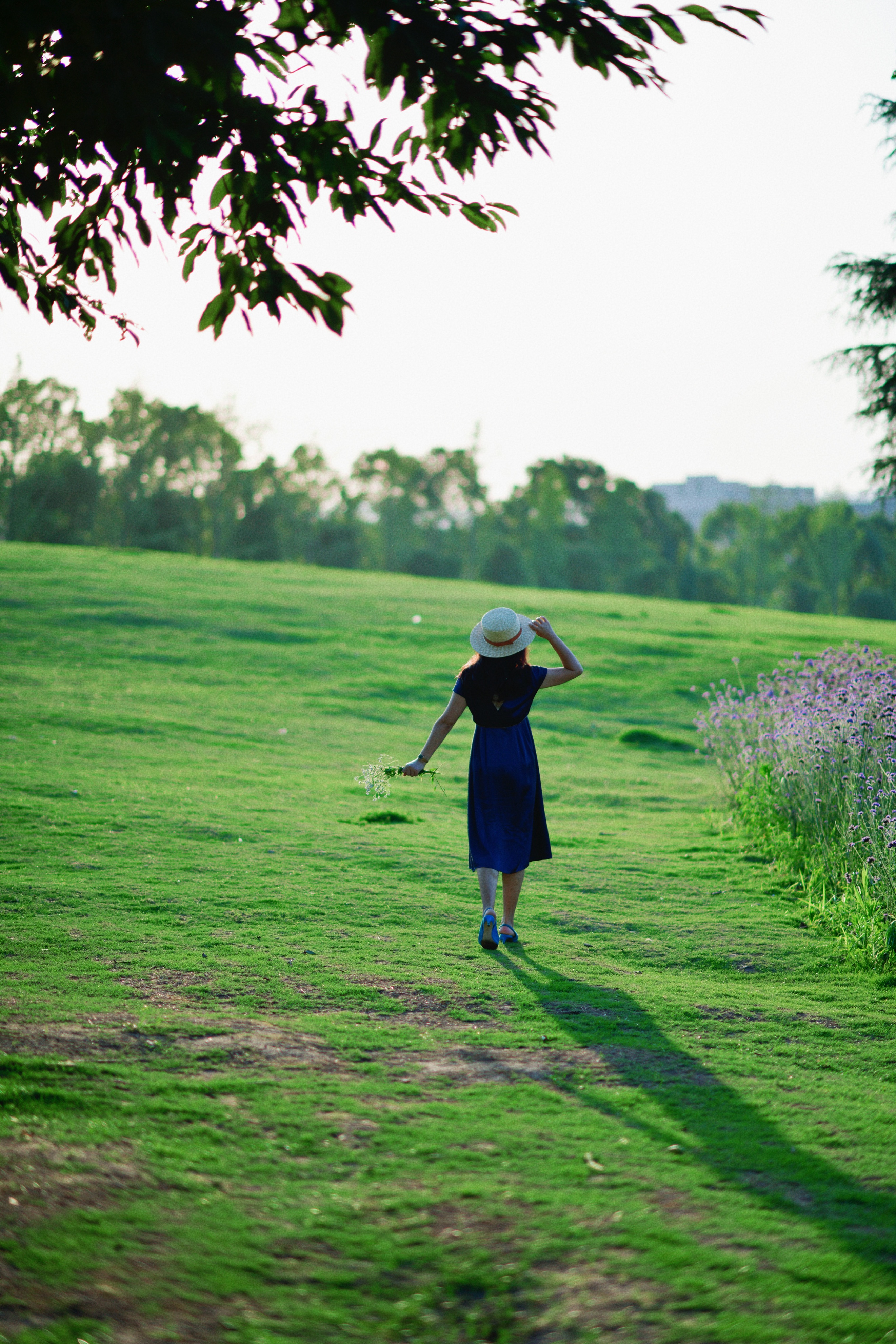 重庆市赏花胜地游玩线路,重庆渝北周边赏花地点推荐