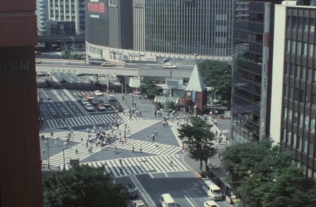 去世的网红二哈,网红二哈不见了