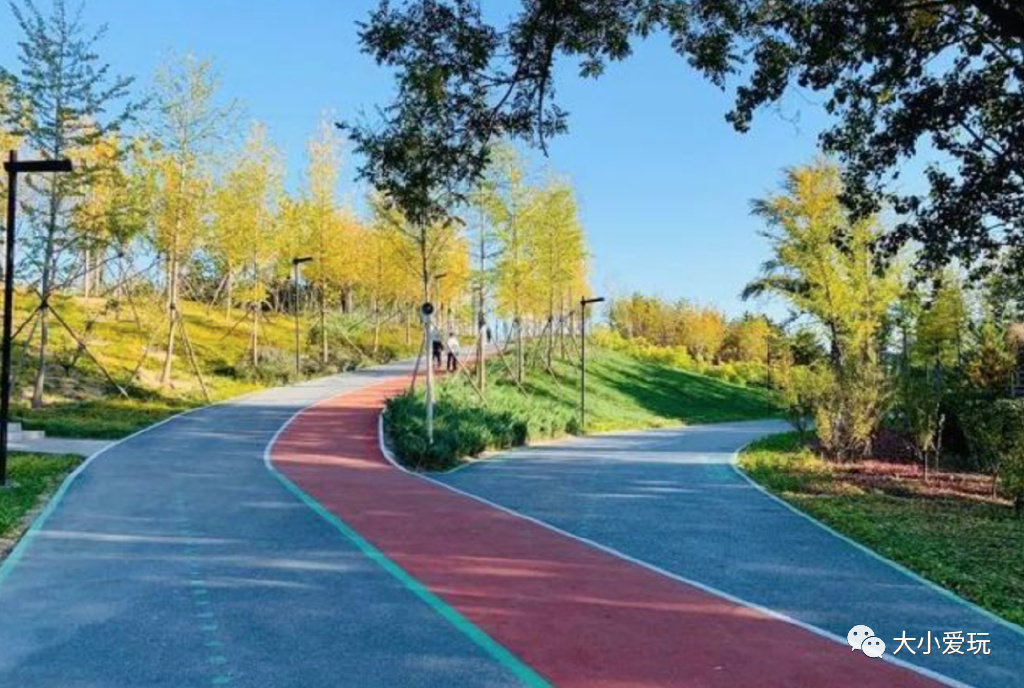 最适合骑行的公园,适合骑行的旅游地点推荐