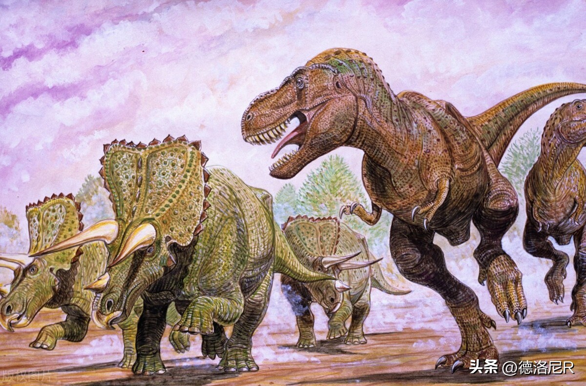 地球和宇宙的所有故事,探索宇宙把地球的故事讲给宇宙