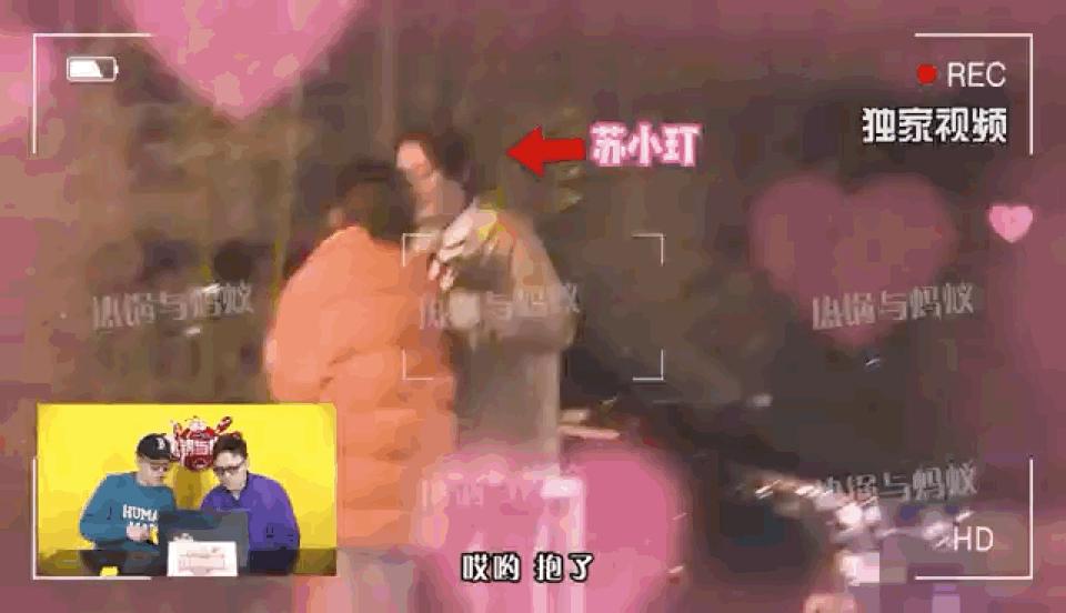 狂飙苏小玎走红,狂飙苏小玎爆红