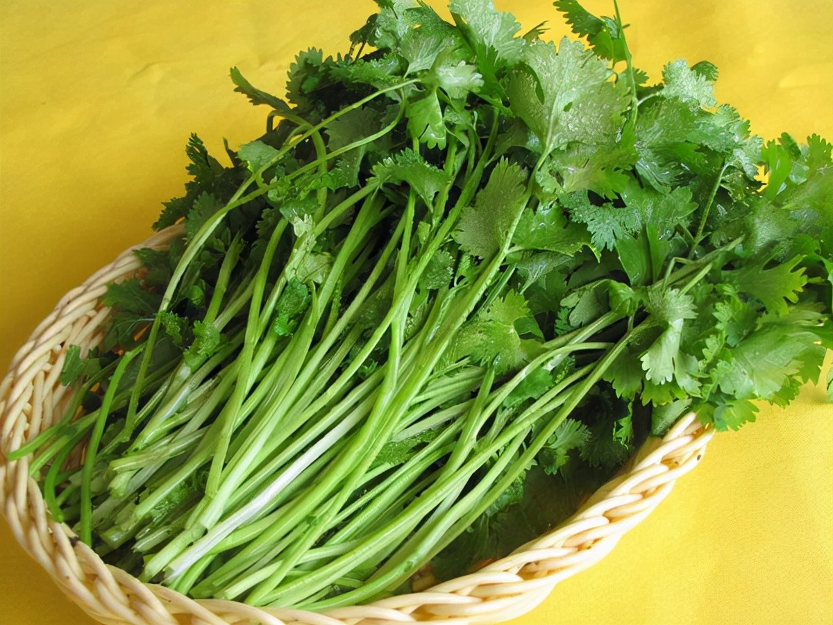 生活小窍门100个实用技巧,实用有趣省电省钱小窍门妙招姐