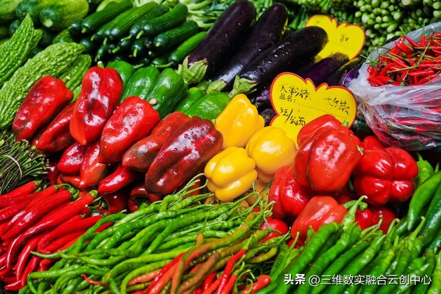 农业发展重点突破,农业创新发展模式