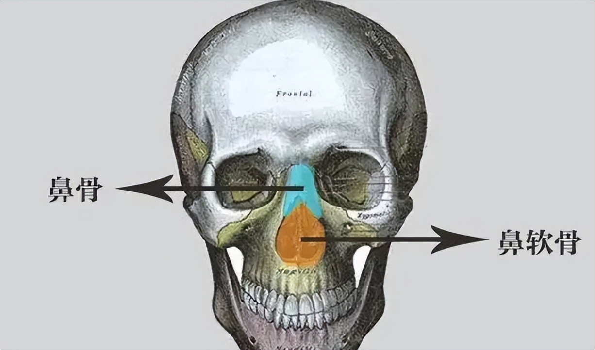 九院韦敏介绍,九院韦敏隆鼻多少钱