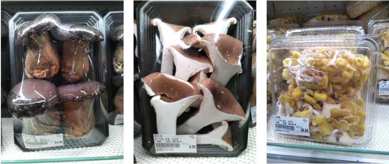 这些菌类你认识几种,这些食用菌之最你都知道吗