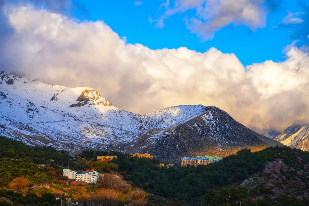 在非洲打工是怎样的体验？