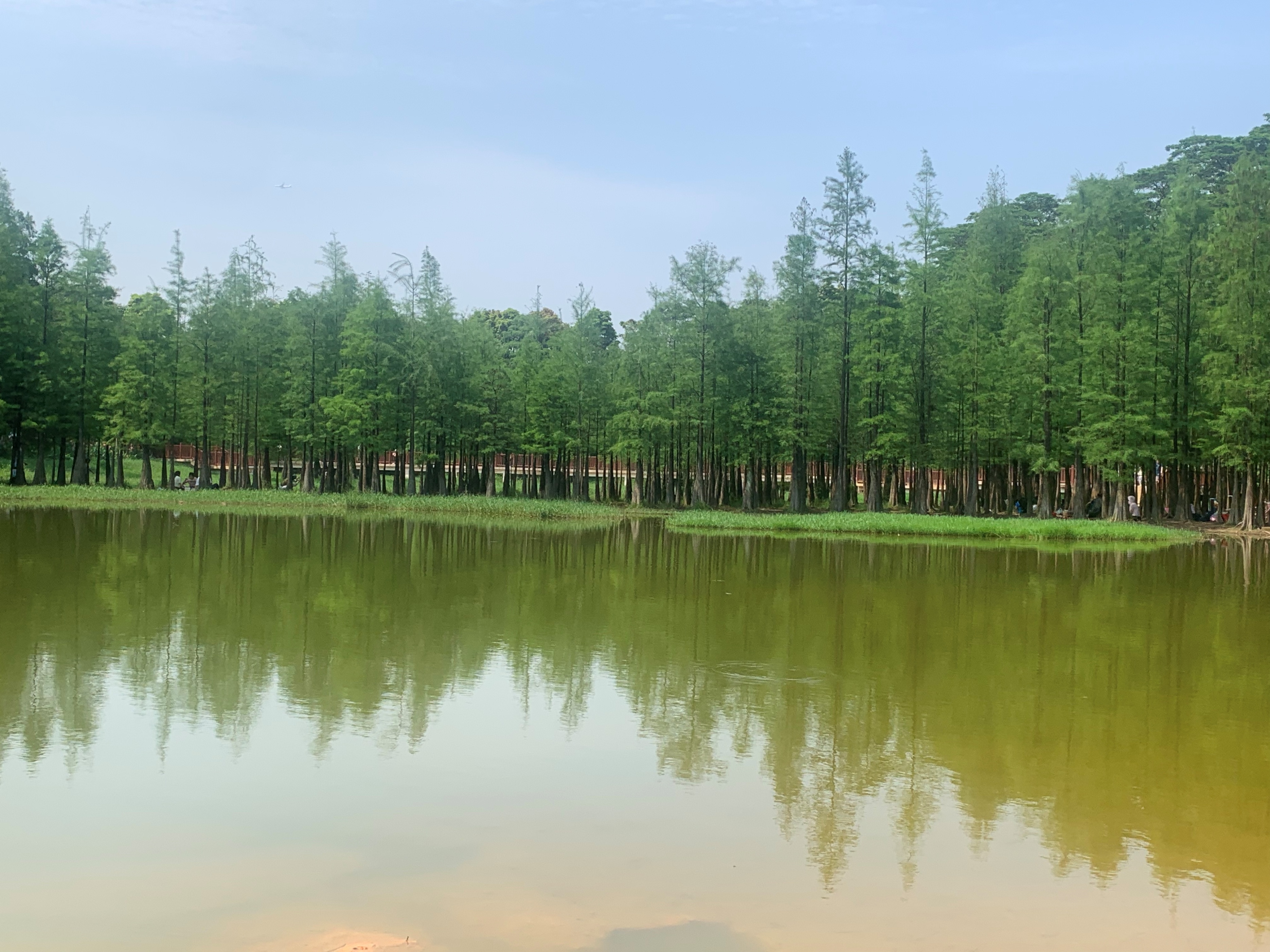 大夫山一日游自由行,大夫山一日游周记
