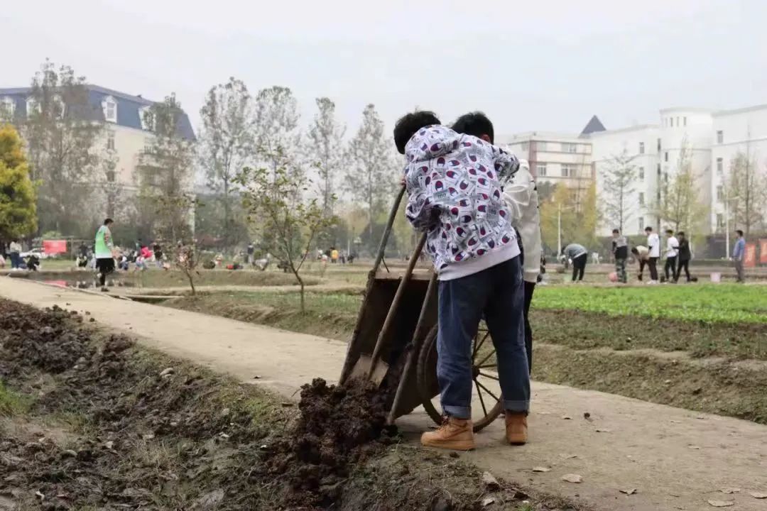 在成都读大学好就业吗,在成都读研究生是什么体验