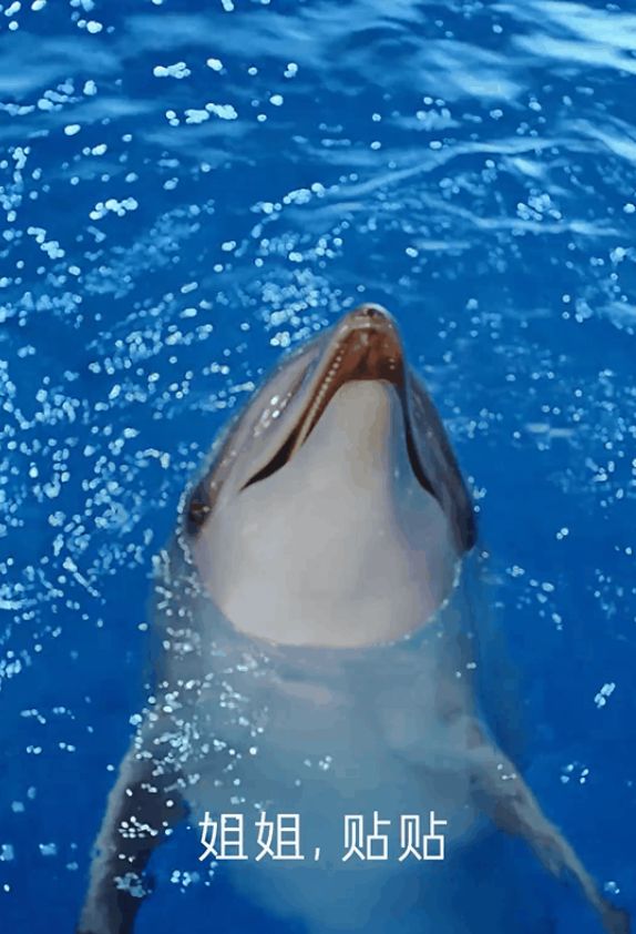 来一场“爱情买卖”，引爆“她力量”