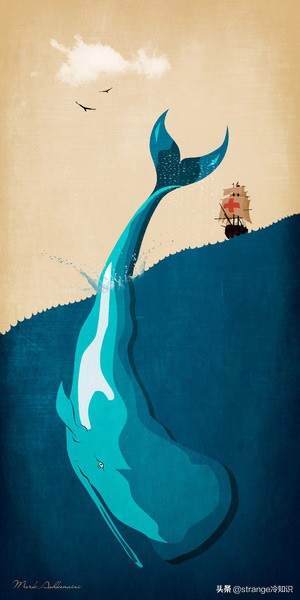 有关于鲸鱼的冷知识,关于鲸鱼的十个小知识