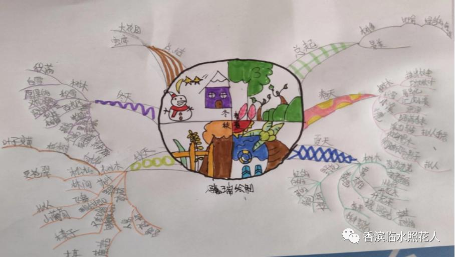 教你用思维导图学语文,语文思维导图20课小兴安岭