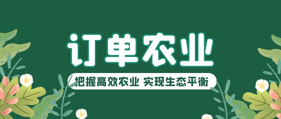 中叶壹乡壹品助力拓宽销售渠道,乡村振兴壹乡壹品