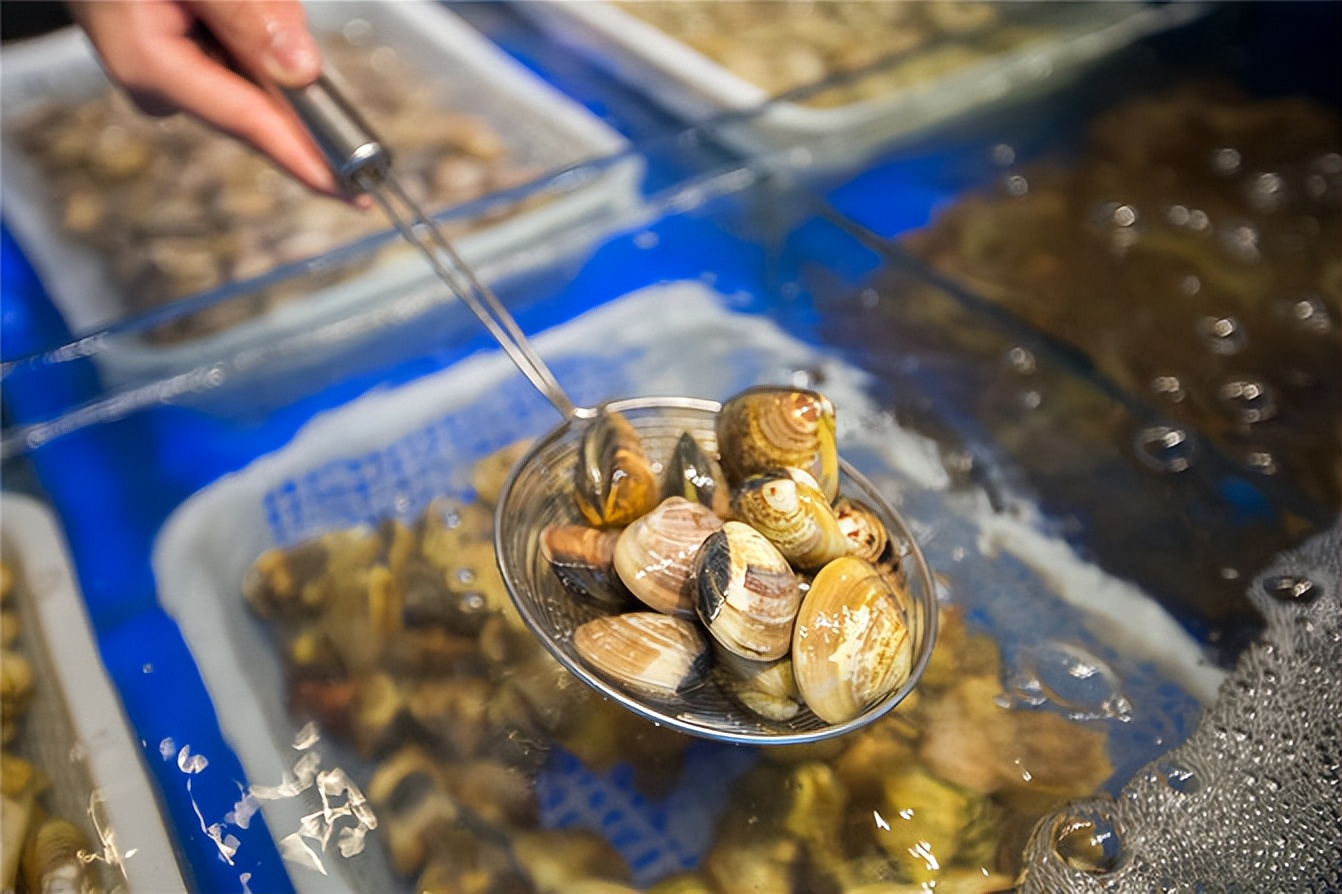 黄岐希尔顿龙狮轩中餐厅早茶,佛山黄岐美食推荐早茶