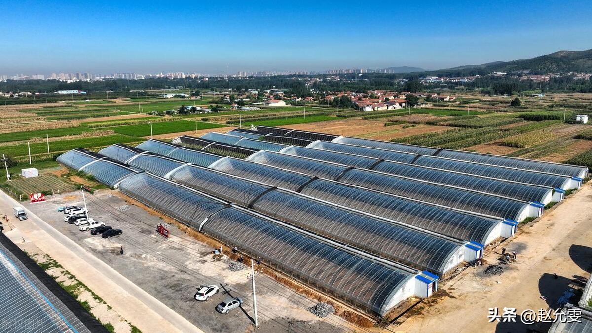 农村将放宽几大政策你知道吗,农村3月1号都有哪些新政策