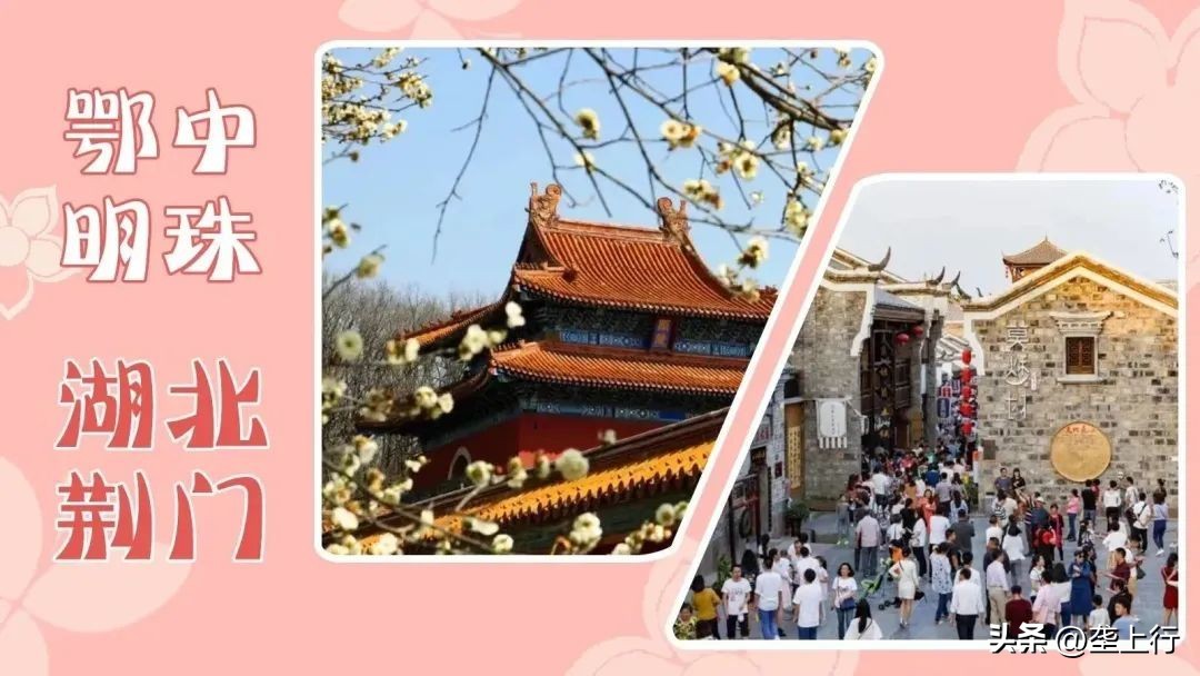 湖北春季赏花攻略十大赏花路线,叮你有一份礼物请查收音频