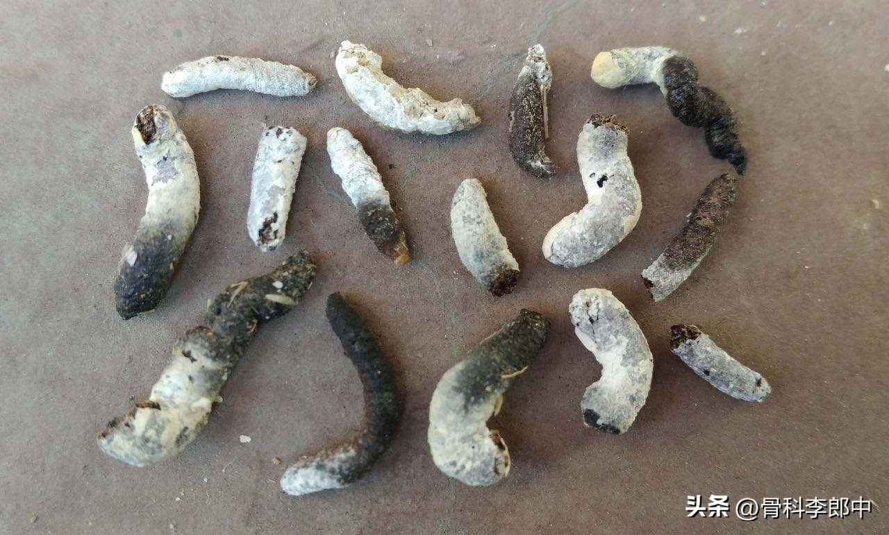 张仲景的舒筋方,张仲景治痹病名方