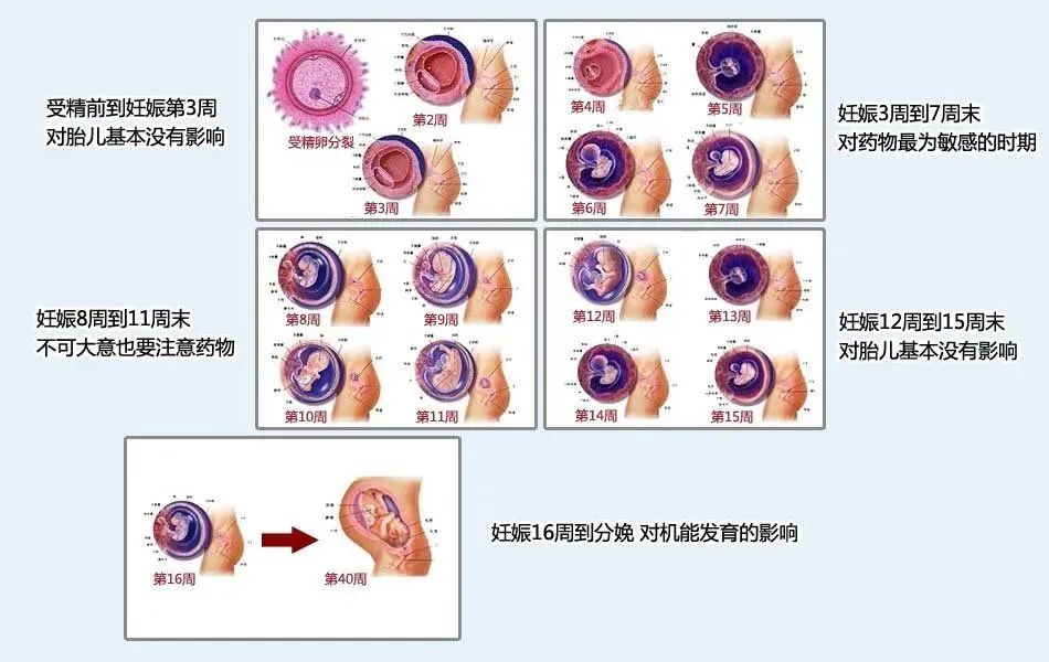 孕妇阳了咳嗽硬抗对胎儿有影响吗,孕妇阳了喝中药对胎儿有影响吗
