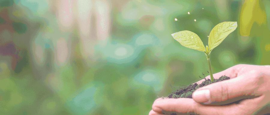 苏宁易购的筹资战略分析,苏宁易购2018和2019财务分析