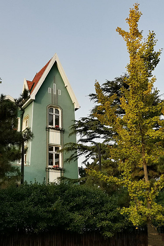 青岛最美摄影作品,青岛摄影师现状