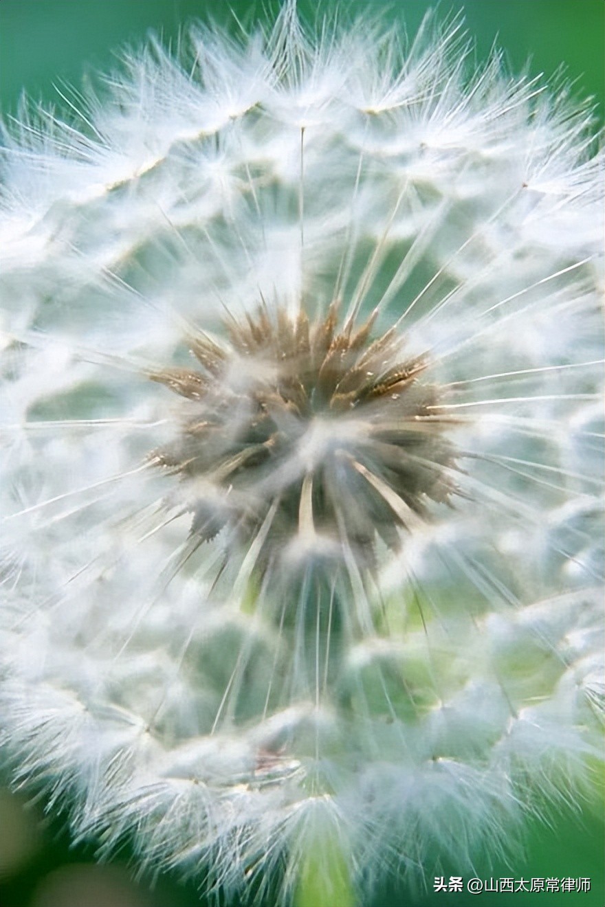 旅游信息咨询合同范本,商务咨询服务合同范本大全