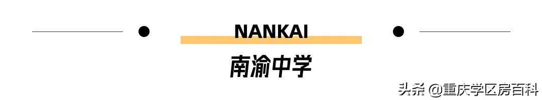 南开中学2020高考各分数段人数,南开中学2019年高考