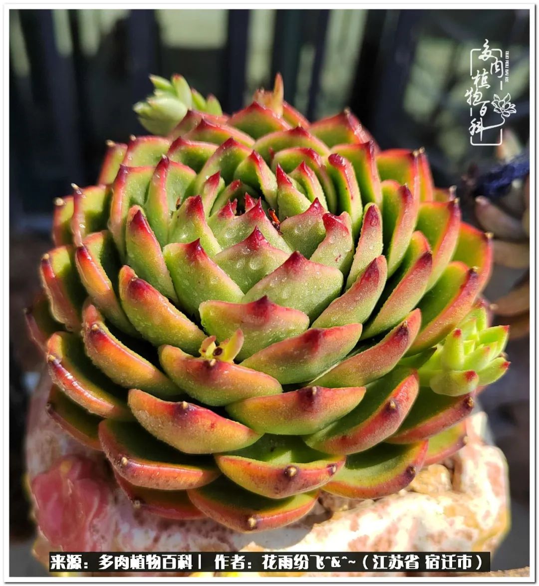 回味童年无忧无虑的快乐时光,童年最快乐的时光