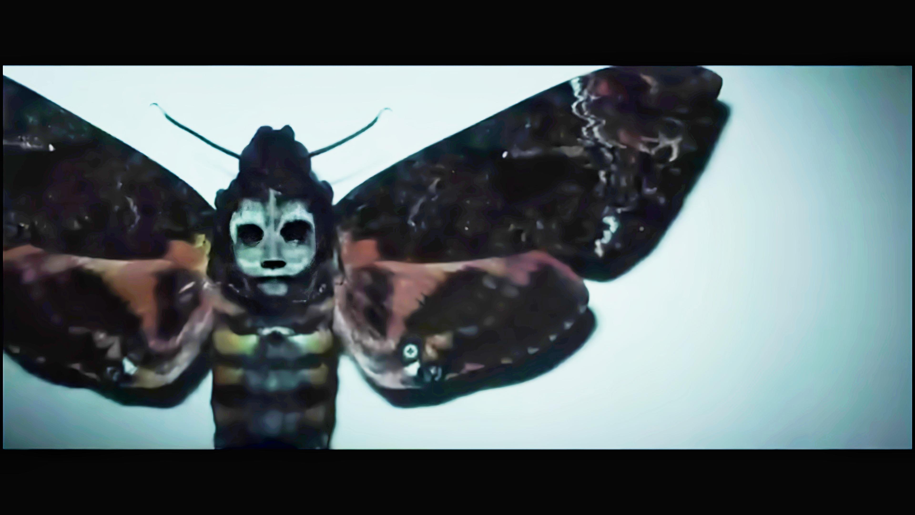 生吃蟑螂！四项金马奖的恐怖神作！一个小女孩就能让人家破人亡